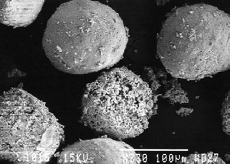 Fig 3. Calcium hydroxylapatite microspheres by scanning electron microscopy